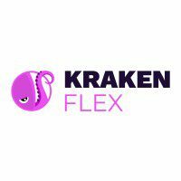 krakenflex, energy, digitalization, energy grid, digital marketing, inboundmarketing