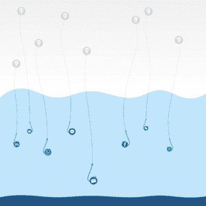 phishing, cyberattaque, data breach, data theft, communication, crisis