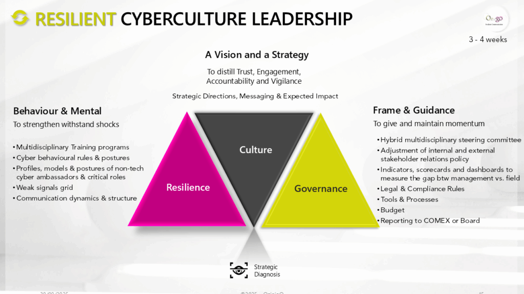 cyberculture, leadership, resilience, communication, crisis communication, strategy, vision, cyb er behaviour