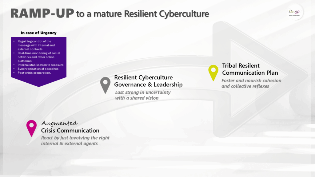 cyberculture, cyberresilience, crisis communication, communication plat, resilient communication, tribal, governance, leadership, cohesion, engagement